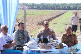 Penanaman Jagung Serentak 1 Juta Hektar: Wujud Nyata Program Ketahanan Pangan